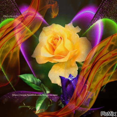 Flaming Yellow Rose - Gratis geanimeerde GIF