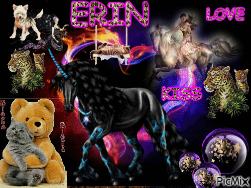 ERIN - Бесплатный анимированный гифка