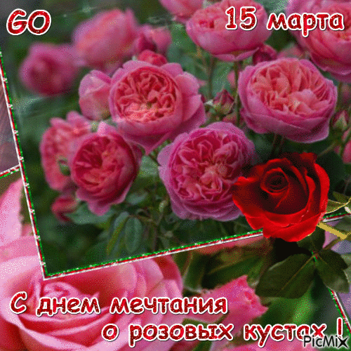 День мечтания о розовых кустах 15. День мечтания о розовых кустах. 15 — День мечтания о розовых кустах. День мечтания о розовых кустах открытка.