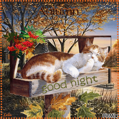 Good Night. Autumn. Cat - GIF animate gratis