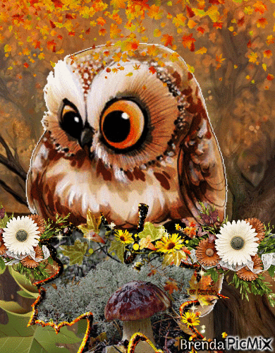 autumn owl - Free animated GIF