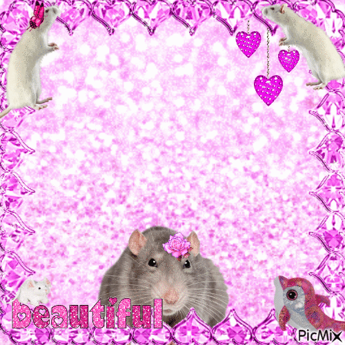 pink rats - Darmowy animowany GIF