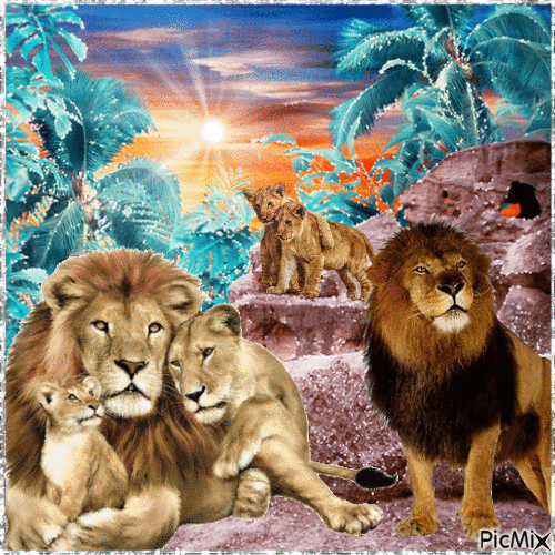 lions. - Animovaný GIF zadarmo