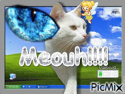meouh!! - Free animated GIF
