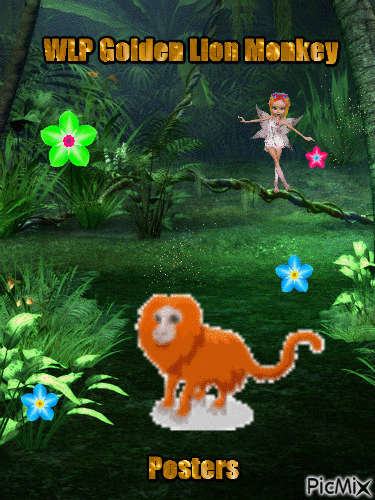 monkey - Bezmaksas animēts GIF