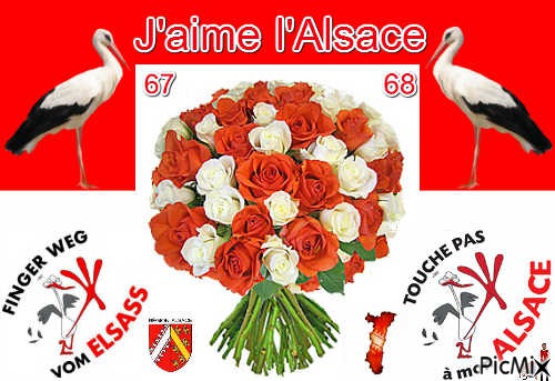 Alsace 67 ou 68 - PNG gratuit