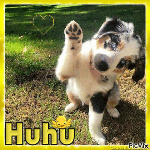 Huhu - GIF animado gratis