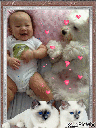 A baby, dogs and cats - GIF animado grátis