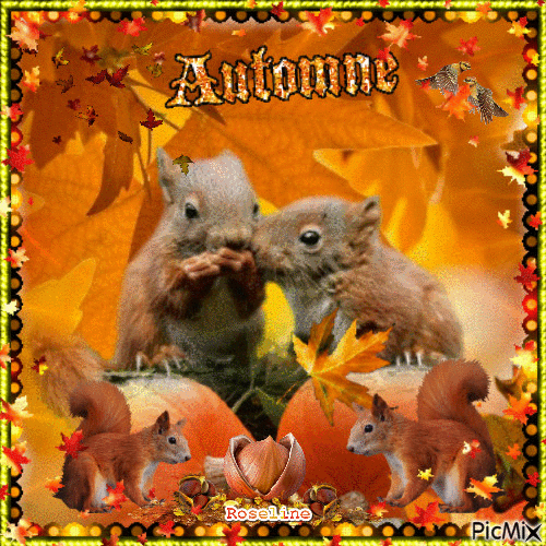 Automne adorable petits écureuils - Zdarma animovaný GIF