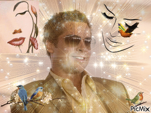 Brad Pitt - Gratis animeret GIF