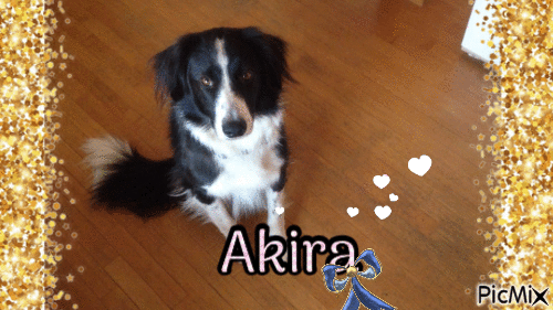 Akira - Δωρεάν κινούμενο GIF