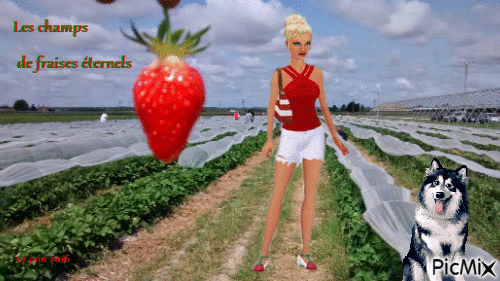 fraise - GIF animado grátis