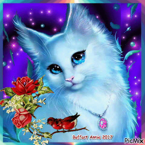 chat blanc maine coon - GIF animado gratis