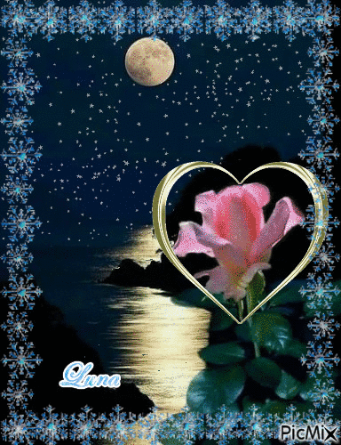coração de rose - Darmowy animowany GIF