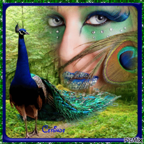 Peacock lady - Free animated GIF