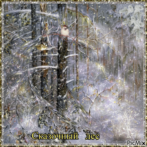Fabulous, winter forest. - Zdarma animovaný GIF
