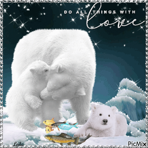 Polar bears. Do all things with love - Бесплатный анимированный гифка
