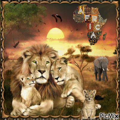 Africa in the wild. - Darmowy animowany GIF