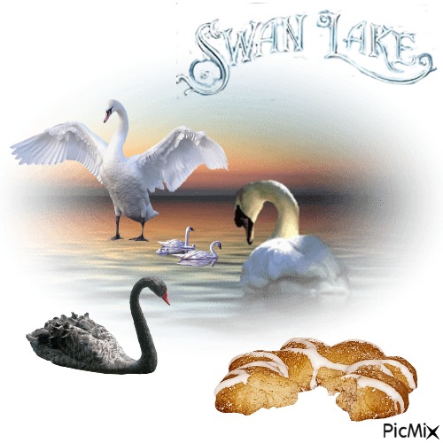 Swan Lake - PNG gratuit