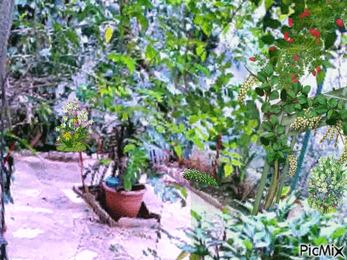 Garden - Darmowy animowany GIF