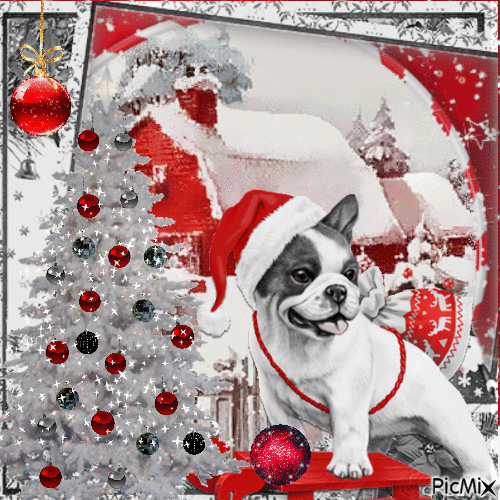 Animal navideño - Rojo, blanco y negro - GIF animado gratis
