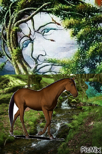 Bosque de ilusión - Бесплатный анимированный гифка