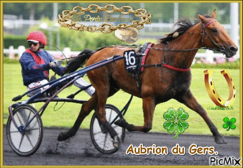 Le champion Aubrion du Gers. - Besplatni animirani GIF