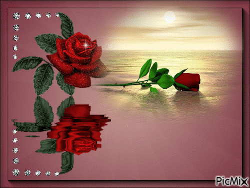 rosas - Gratis animerad GIF
