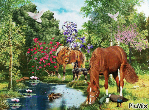 horses a dog, a cat, ducks, and a squirrelplaying around a stream . - 免费动画 GIF
