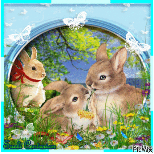 Coelhinhos bonitinhos - GIF animado grátis