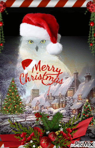 Christmas owl - Free animated GIF