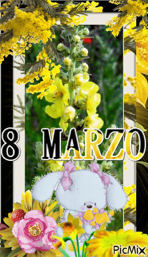 8 MARZO - Бесплатный анимированный гифка