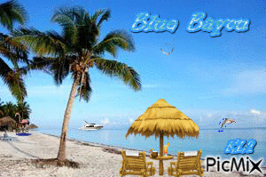 Blue Bayou - GIF animé gratuit