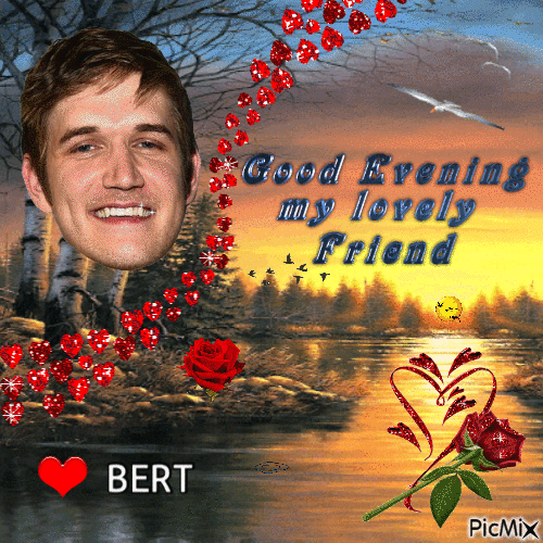 Good Evening my lovely Friend Bert - Gratis geanimeerde GIF