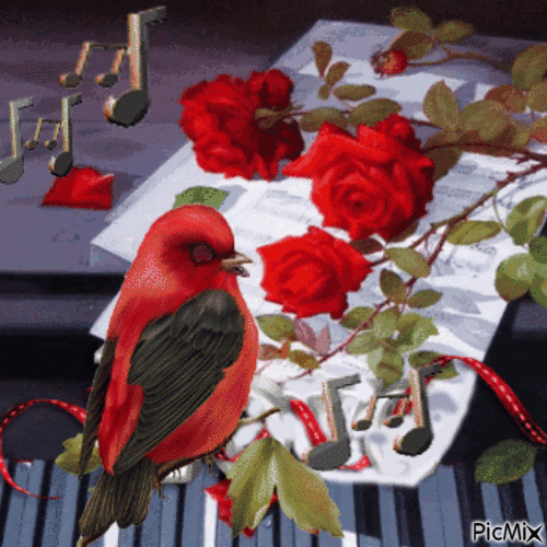 Roses et piano - Gratis animerad GIF