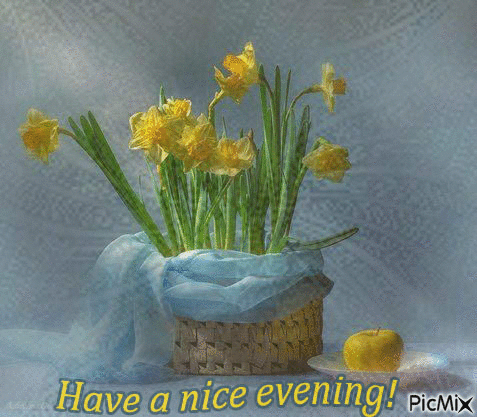 Have a nice evening! - GIF animado gratis