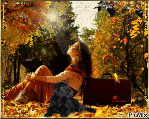 In autumn - GIF animé gratuit