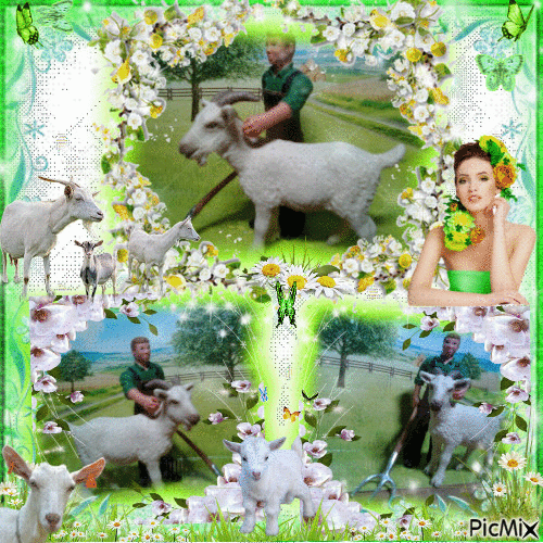 le berger et la chèvre blanchette - Free animated GIF