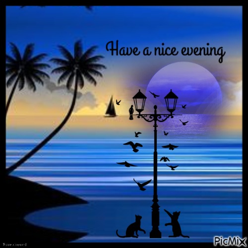 Have a nice evening - nemokama png