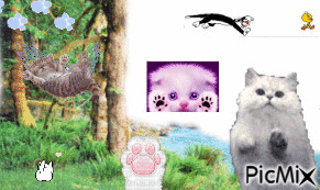 Colonie de chats - GIF animado gratis