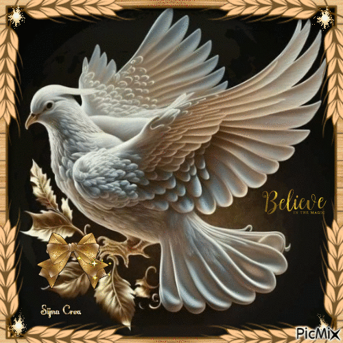 White dove - Gratis animerad GIF