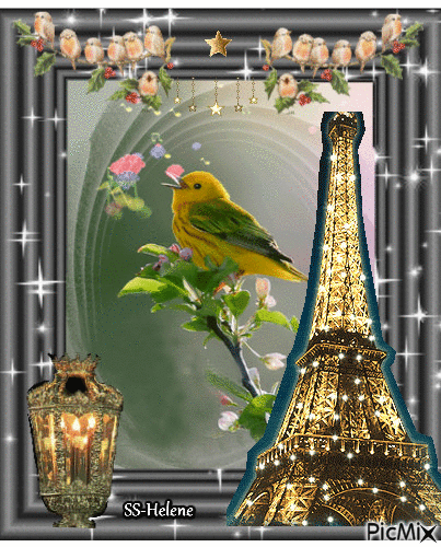 A singing bird. - Δωρεάν κινούμενο GIF