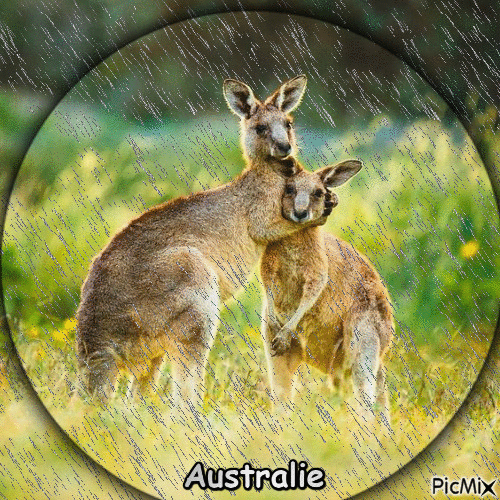 Rain for Australia - GIF animate gratis
