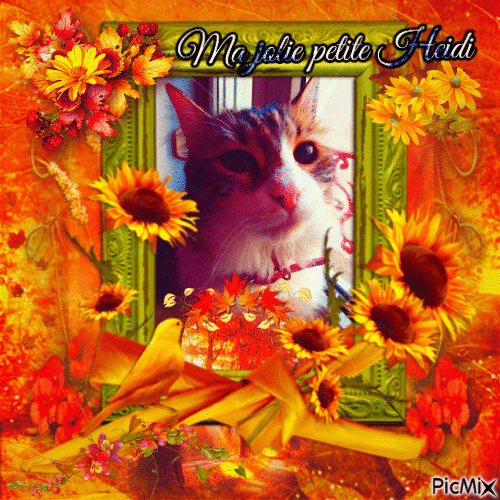 L'automne de ma petite Heidi - GIF animé gratuit