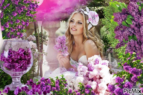 Aroma beautiful lilac - ücretsiz png