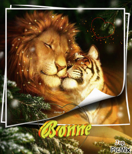 lion love - Gratis geanimeerde GIF