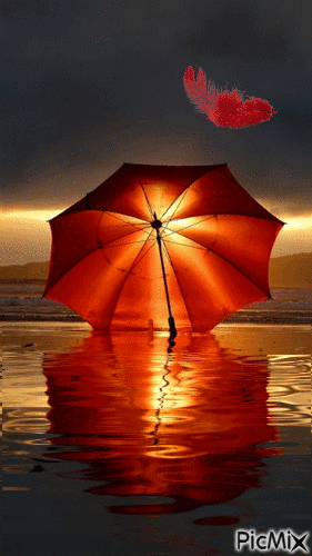 parapluie - Ingyenes animált GIF