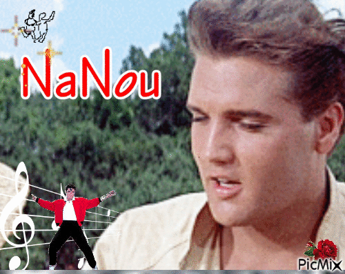 Elvis nan - GIF animado grátis