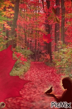Bosque de hojas rojas - GIF animé gratuit