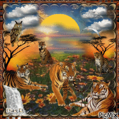 Tigers. - Bezmaksas animēts GIF
